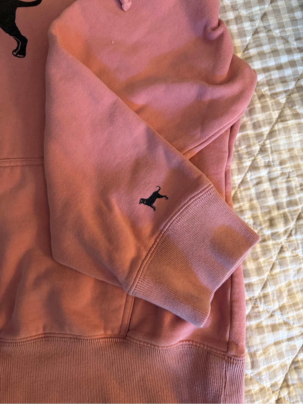 The Black Dog Sweatshirt View 2